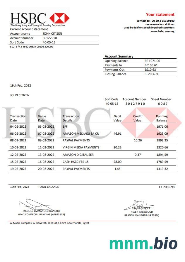 Szablon wyciągu bankowego Egypt Blom w programie Word i PDF